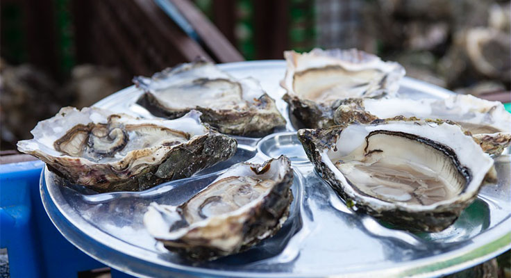 Huîtres à déguster à Cancale