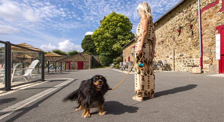 Au Camping 5 étoiles Domaine du Logis, vous pouvez venir avec votre chien